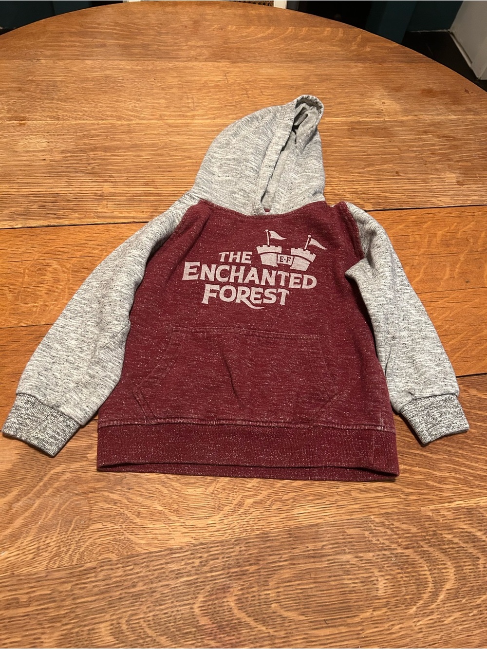 Kids' Enchanted Forest Hooded Pullover Sweatshirt - Maroon & Gray